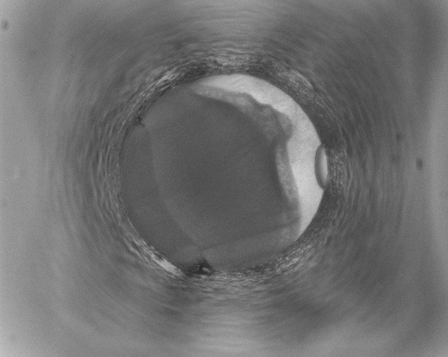 X0000059791009200511111529