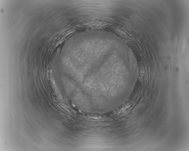 X0000059791010200511111529