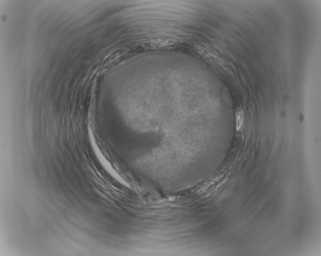X0000059791011200511111529
