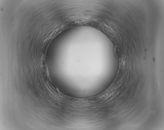 X0000059791012200511111529
