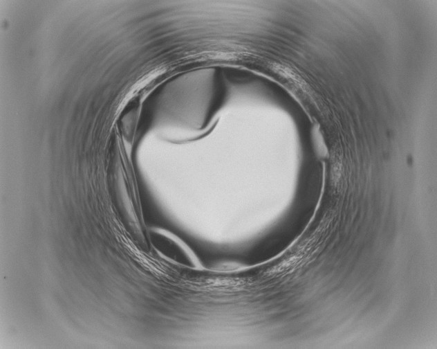 X0000059791026200511111530