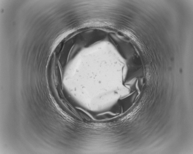 X0000059791030200511111530