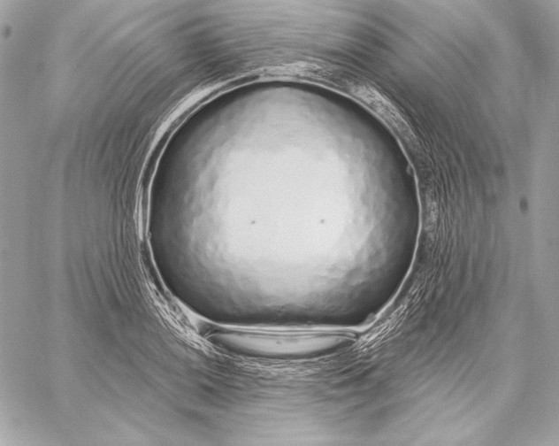 X0000059791036200511111530