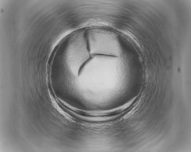 X0000059791038200511111530