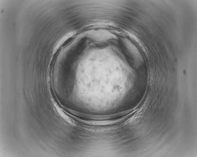 X0000059791042200511111530