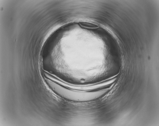 X0000059791048200511111530