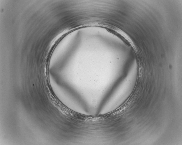 X0000059791051200511111530