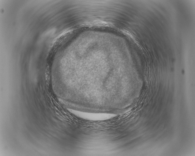 X0000059791063200511111529
