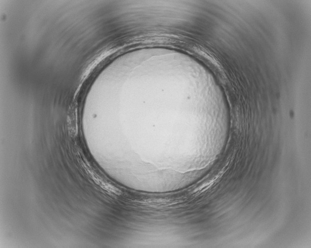 X0000059791075200511111529