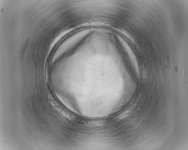 X0000059791078200511111529