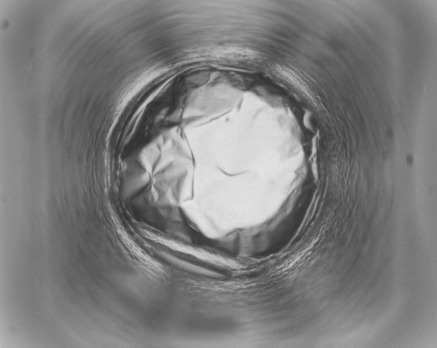 X0000059791079200511111529