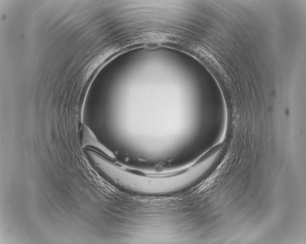 X0000059791081200511111529