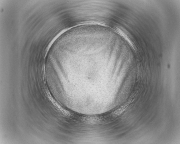 X0000059791092200511111529