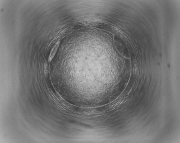 X0000059791108200511111528