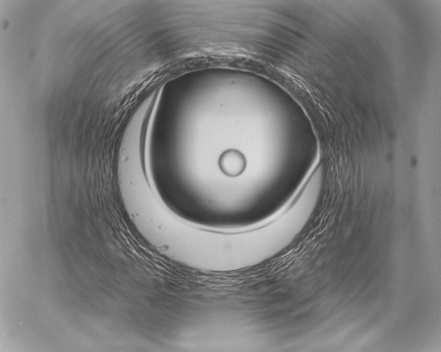 X0000059791110200511111528