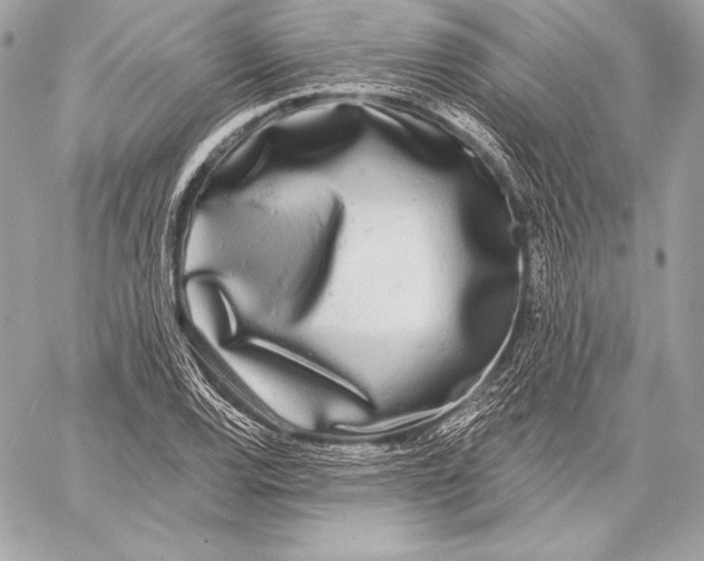 X0000059791120200511111528