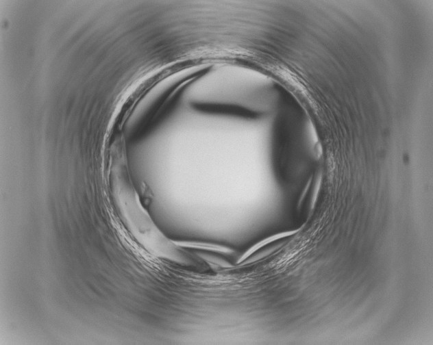 X0000059791124200511111528