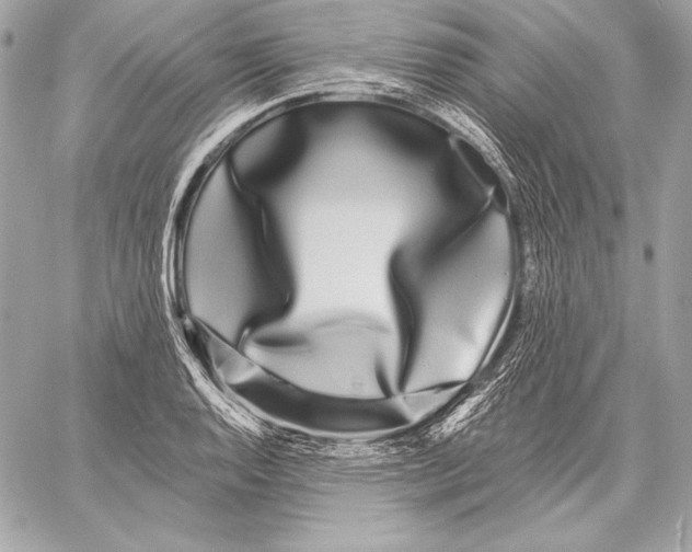 X0000059791128200511111528