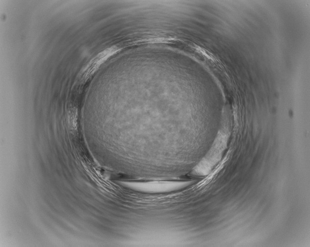X0000059791161200511111528