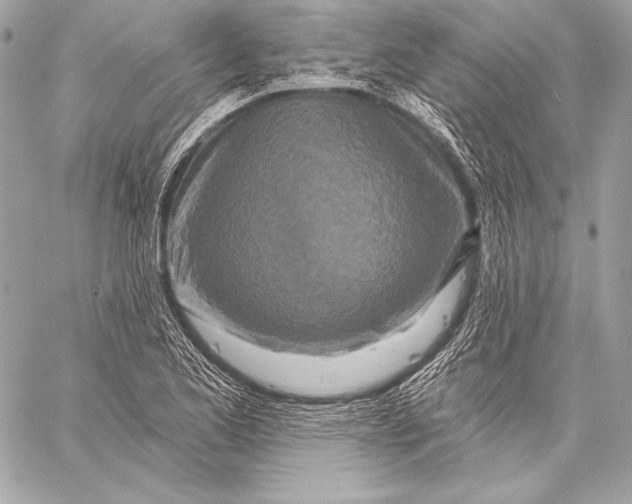 X0000059791173200511111527