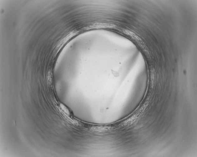 X0000059791185200511111527