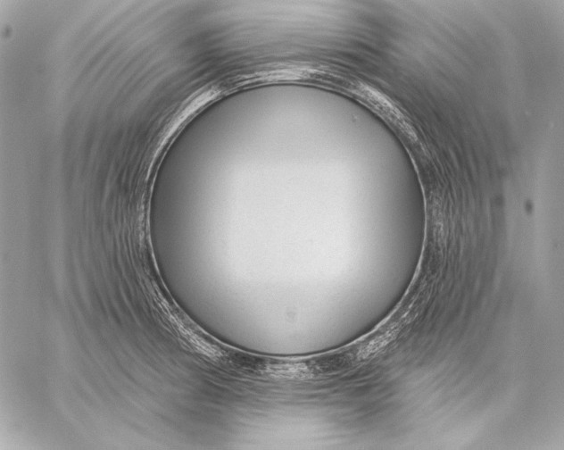 X0000059791186200511111527