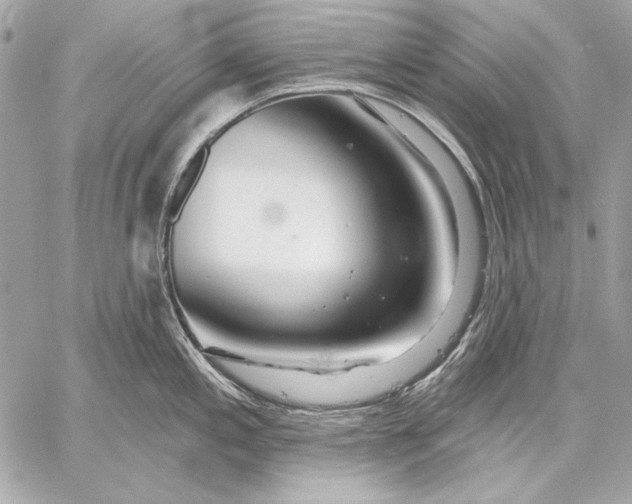 X0000059791197200511111527
