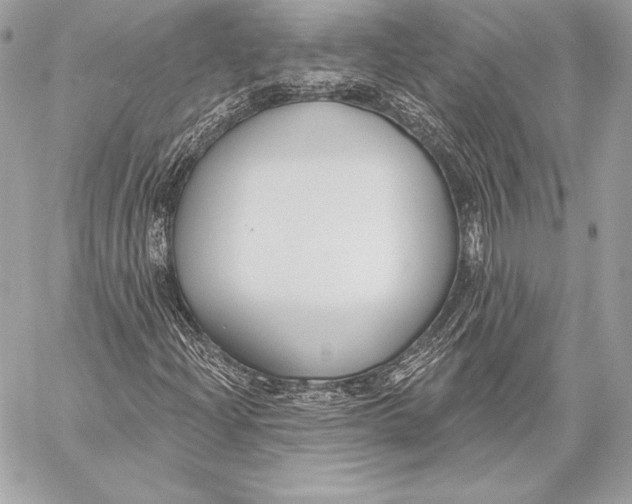 X0000059791204200511111526