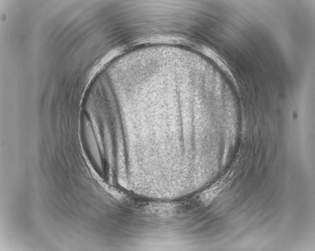 X0000059791237200511111527