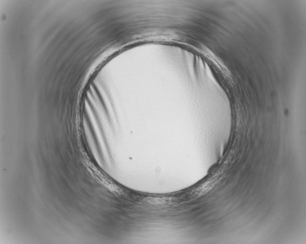 X0000059791240200511111527