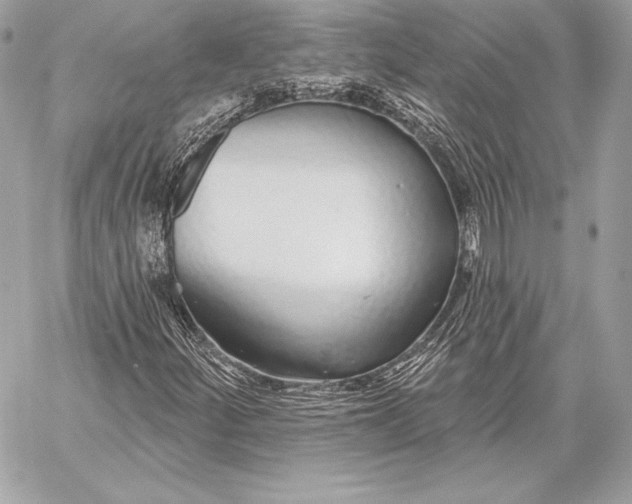 X0000059791252200511111526