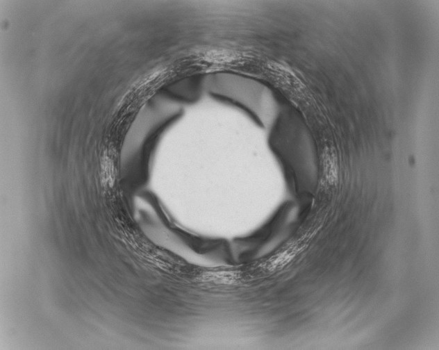 X0000059791253200511111526