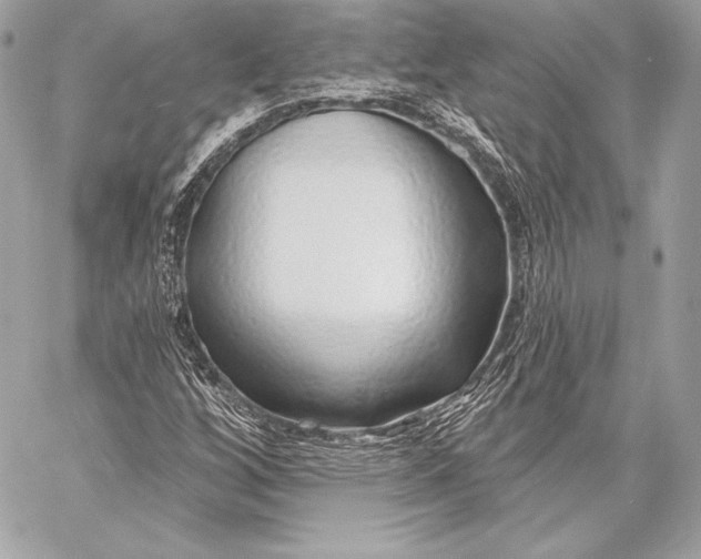 X0000059791256200511111526