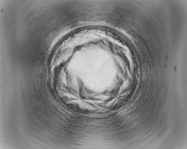 X0000059791271200511111526