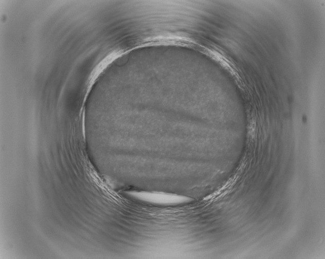 X0000059791275200511111526