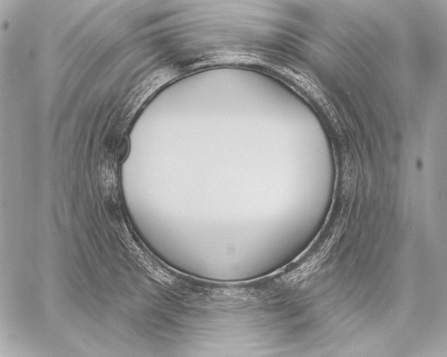 X0000059791281200511111526