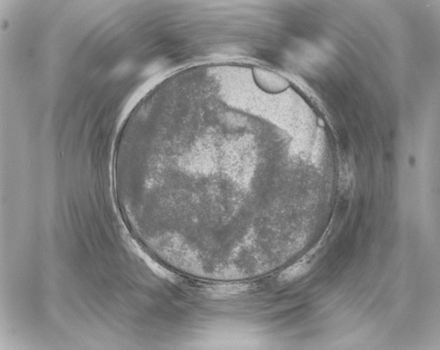 X0000059791294200511111525