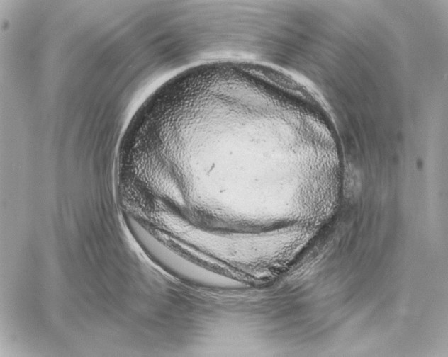 X0000059791295200511111525