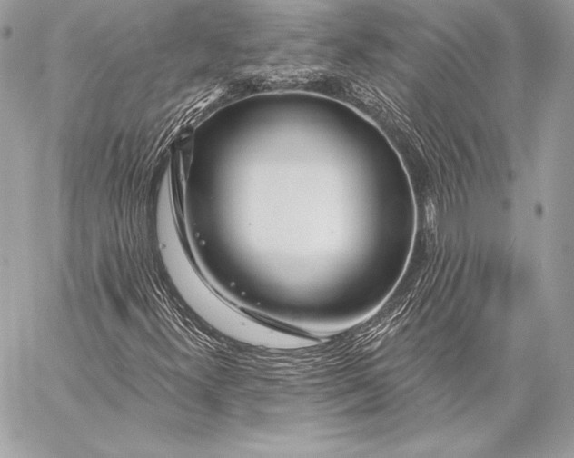 X0000059791300200511111525