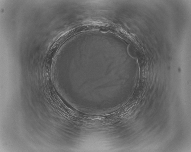 X0000059791303200511111525