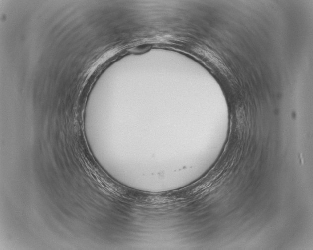 X0000059791308200511111525