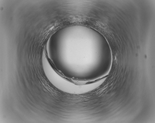 X0000059791348200511111524