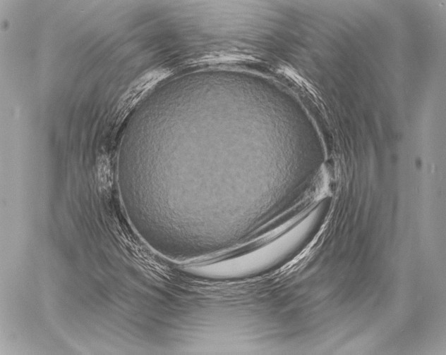 X0000059791353200511111524
