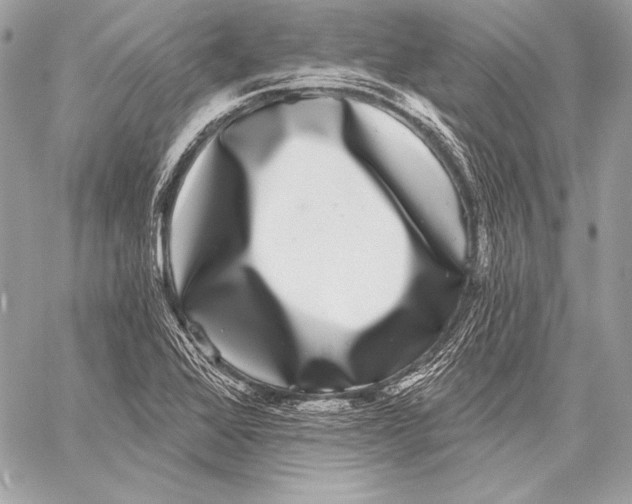 X0000059791368200511111524
