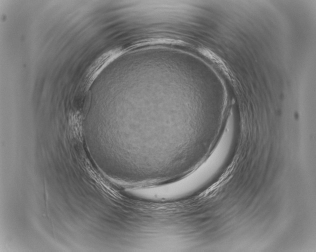 X0000059791369200511111524