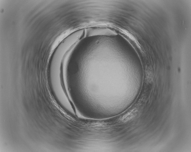 X0000059791373200511111524