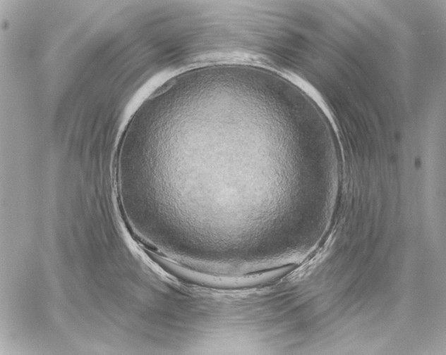 X0000059791389200511111524