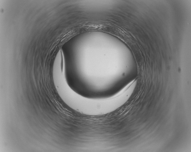X0000059791394200511111523