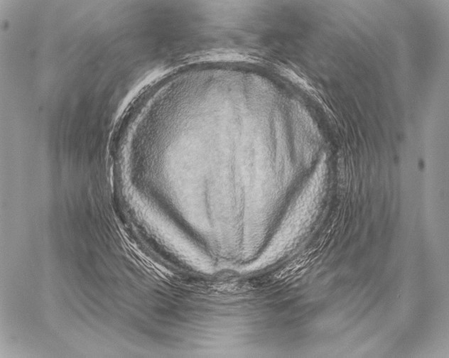 X0000059791408200511111523