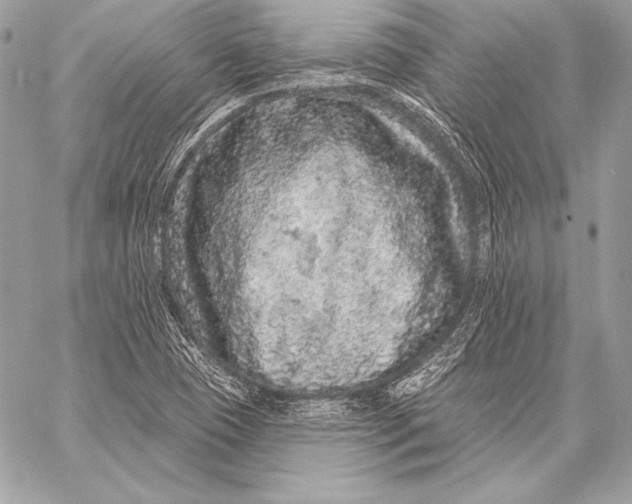 X0000059791409200511111523